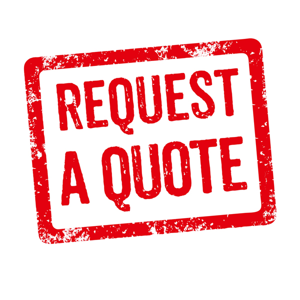 findnew automatic or manual transmission  in Leverett